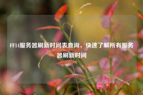 FF14服務(wù)器刷新時(shí)間表查詢(xún)，快速了解所有服務(wù)器刷新時(shí)間