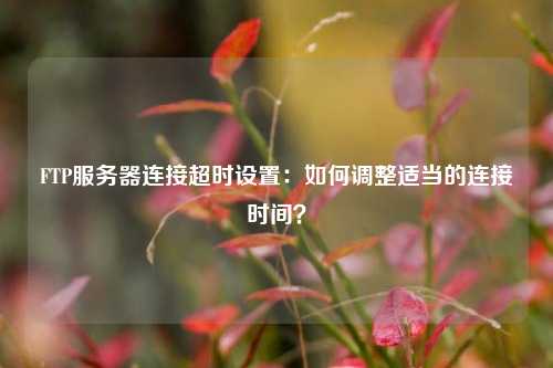 FTP服務(wù)器連接超時(shí)設置：如何調整適當的連接時(shí)間？