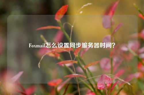 Foxmail怎么設置同步服務(wù)器時(shí)間？