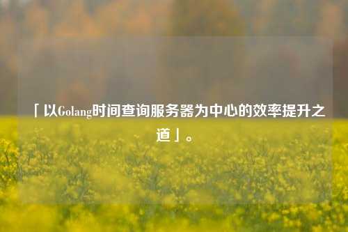 「以Golang時(shí)間查詢(xún)服務(wù)器為中心的效率提升之道」。