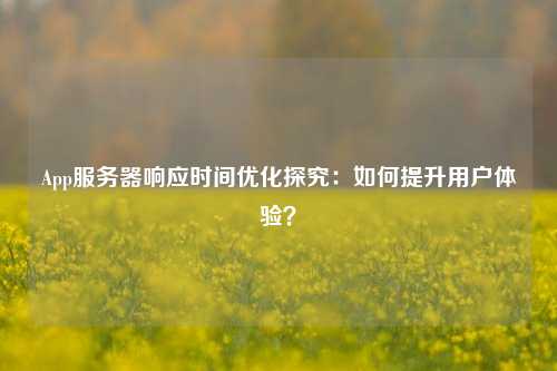 App服務(wù)器響應時(shí)間優(yōu)化探究：如何提升用戶(hù)體驗？