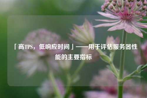 「高TPS，低響應時(shí)間」——用于評估服務(wù)器性能的主要指標