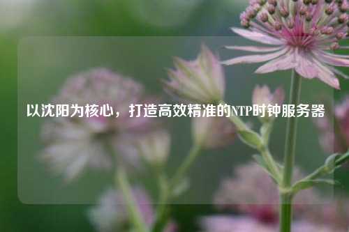以沈陽(yáng)為核心，打造高效精準的NTP時(shí)鐘服務(wù)器