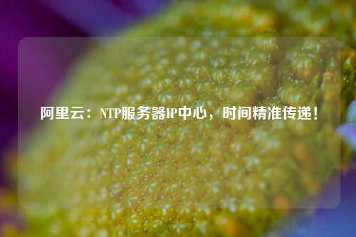 阿里云：NTP服務(wù)器IP中心，時(shí)間精準傳遞！