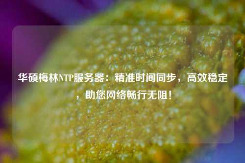 華碩梅林NTP服務(wù)器：精準時(shí)間同步，高效穩定，助您網(wǎng)絡(luò )暢行無(wú)阻！