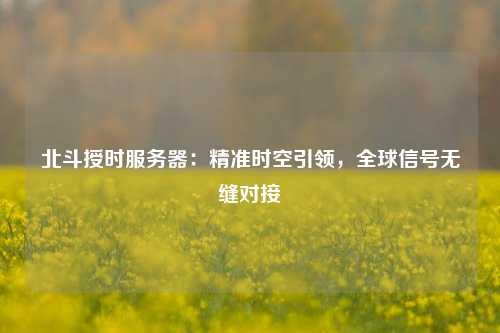 北斗授時(shí)服務(wù)器：精準時(shí)空引領(lǐng)，全球信號無(wú)縫對接