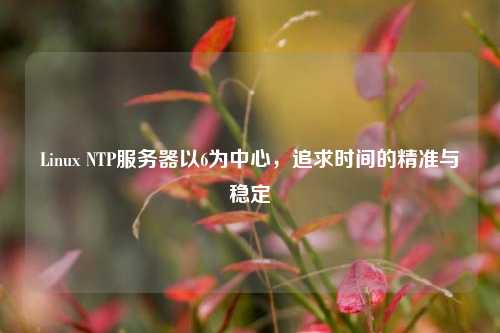 Linux NTP服務(wù)器以6為中心，追求時(shí)間的精準與穩定