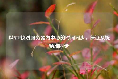 以NTP校對服務(wù)器為中心的時(shí)間同步，保證系統精準同步