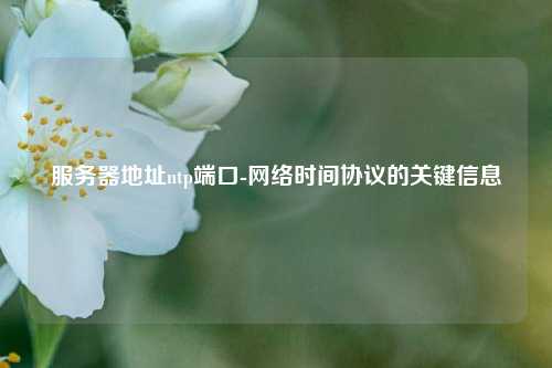 服務(wù)器地址ntp端口-網(wǎng)絡(luò )時(shí)間協(xié)議的關(guān)鍵信息