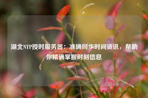 湖北NTP授時(shí)服務(wù)器：準確同步時(shí)間資訊，幫助你精確掌握時(shí)刻信息
