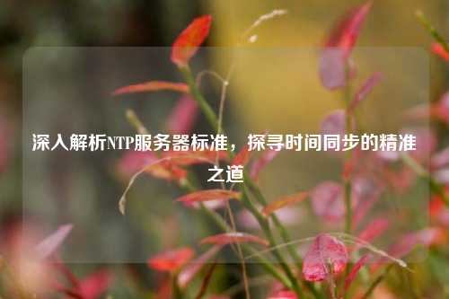 深入解析NTP服務(wù)器標準，探尋時(shí)間同步的精準之道