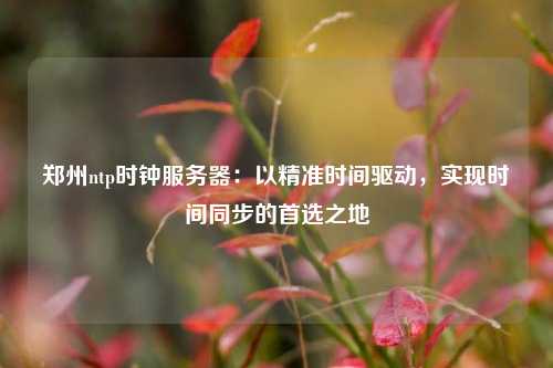 鄭州ntp時(shí)鐘服務(wù)器：以精準時(shí)間驅動(dòng)，實(shí)現時(shí)間同步的首選之地
