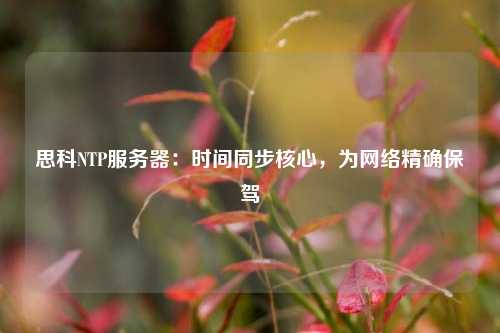 思科NTP服務(wù)器：時(shí)間同步核心，為網(wǎng)絡(luò )精確保駕