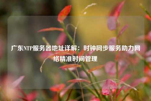 廣東NTP服務(wù)器地址詳解：時(shí)鐘同步服務(wù)助力網(wǎng)絡(luò )精準時(shí)間管理