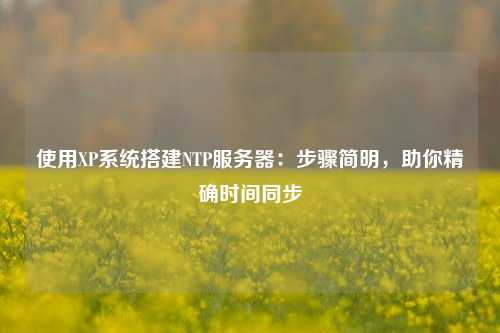 使用XP系統搭建NTP服務(wù)器：步驟簡(jiǎn)明，助你精確時(shí)間同步