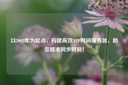以2003年為起點(diǎn)，構建高效NTP時(shí)間服務(wù)器，助您精準同步時(shí)刻！